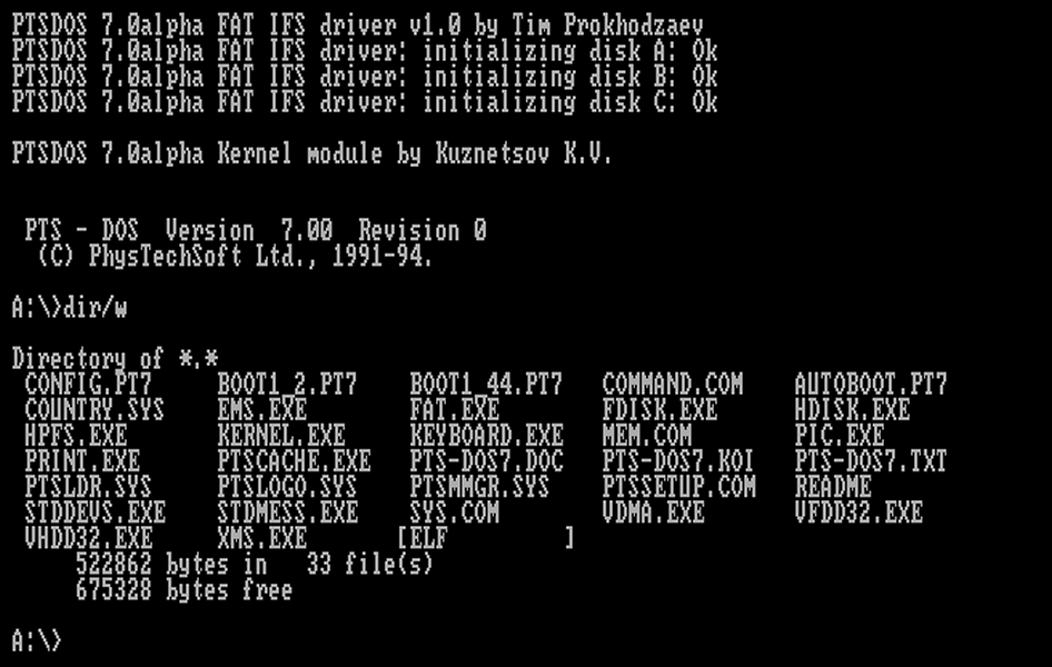 PTS-DOS 7 2000 系统图标